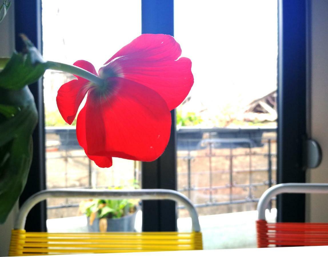 Semedaki, A Modern Appartment In The Centre Of History Athén Kültér fotó
